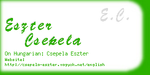 eszter csepela business card